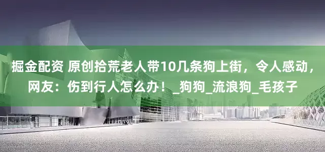 掘金配资 原创拾荒老人带10几条狗上街，令人感动，网友：伤到行人怎么办！_狗狗_流浪狗_毛孩子