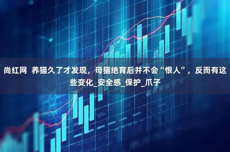 尚红网  养猫久了才发现，母猫绝育后并不会“恨人”，反而有这些变化_安全感_保护_爪子