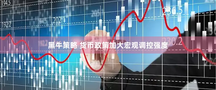 黑牛策略 货币政策加大宏观调控强度