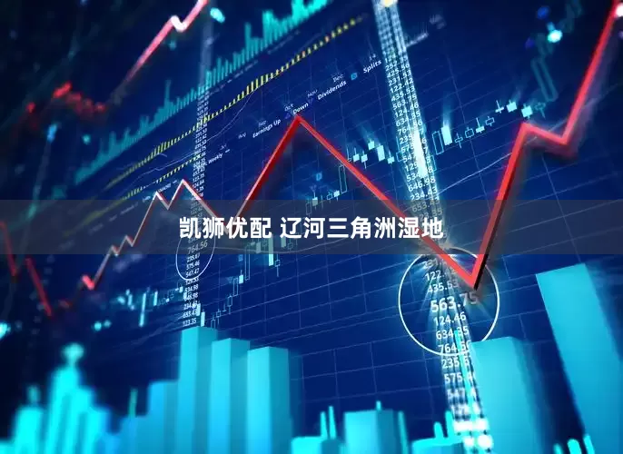 凯狮优配 辽河三角洲湿地