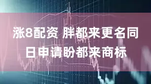 涨8配资 胖都来更名同日申请盼都来商标