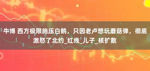 牛博 西方极限施压白鹅，只因老卢想玩蘑菇弹，彻底激怒了北约_红线_儿子_核扩散